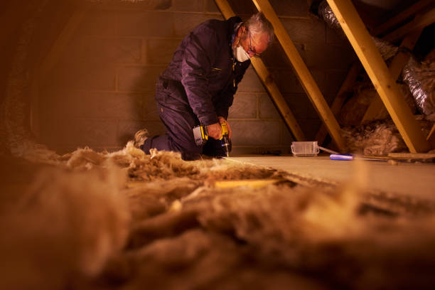 Types of Insulation We Offer in Laurel, FL